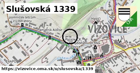 Slušovská 1339, Vizovice