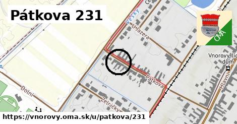 Pátkova 231, Vnorovy