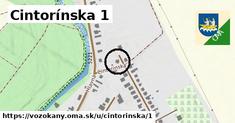 Cintorínska 1, Vozokany