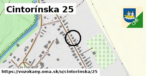 Cintorínska 25, Vozokany