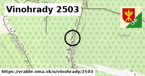 Vinohrady 2503, Vráble