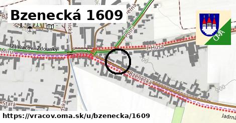 Bzenecká 1609, Vracov