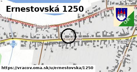 Ernestovská 1250, Vracov