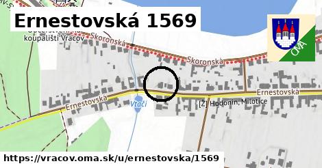 Ernestovská 1569, Vracov