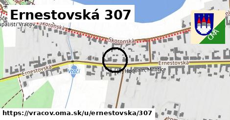 Ernestovská 307, Vracov
