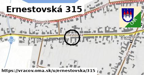 Ernestovská 315, Vracov