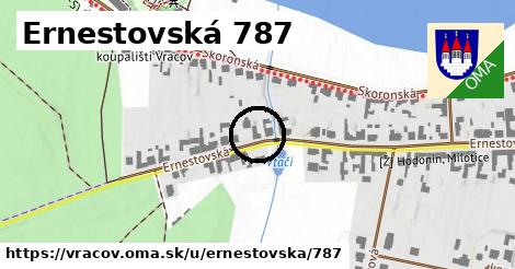 Ernestovská 787, Vracov
