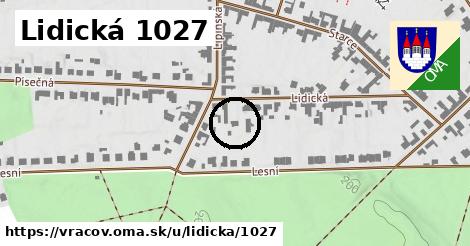 Lidická 1027, Vracov