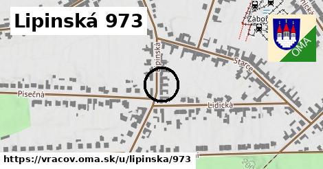 Lipinská 973, Vracov