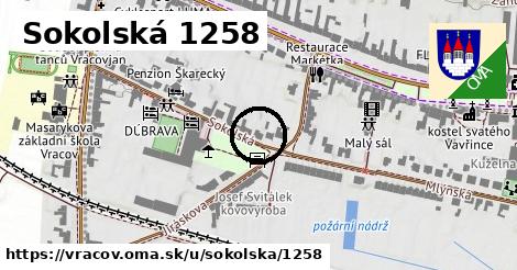 Sokolská 1258, Vracov