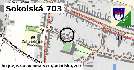 Sokolská 703, Vracov