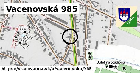 Vacenovská 985, Vracov