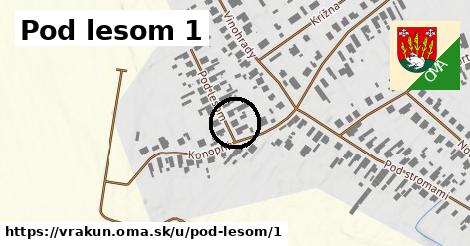 Pod lesom 1, Vrakúň