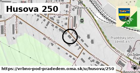 Husova 250, Vrbno pod Pradědem