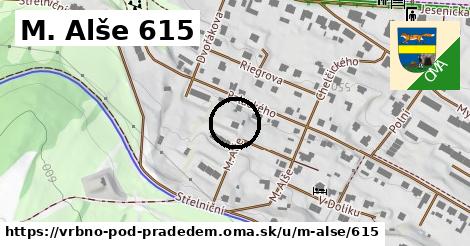 M. Alše 615, Vrbno pod Pradědem