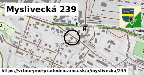 Myslivecká 239, Vrbno pod Pradědem