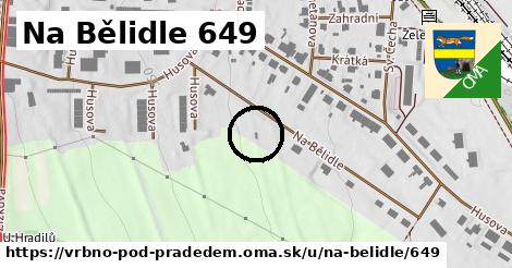 Na Bělidle 649, Vrbno pod Pradědem