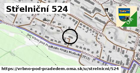 Střelniční 524, Vrbno pod Pradědem