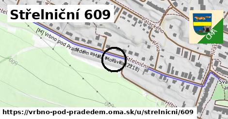 Střelniční 609, Vrbno pod Pradědem