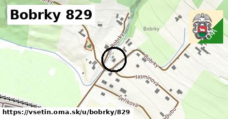 Bobrky 829, Vsetín