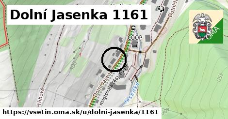 Dolní Jasenka 1161, Vsetín