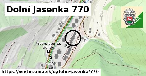 Dolní Jasenka 770, Vsetín