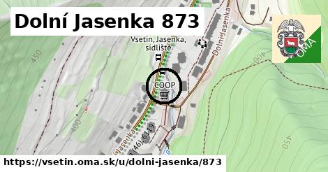 Dolní Jasenka 873, Vsetín
