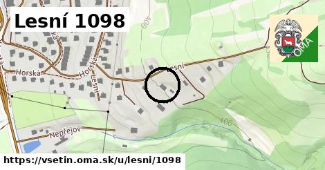Lesní 1098, Vsetín