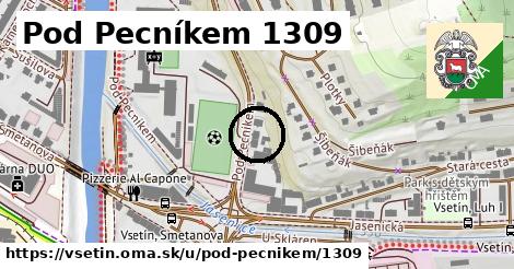 Pod Pecníkem 1309, Vsetín