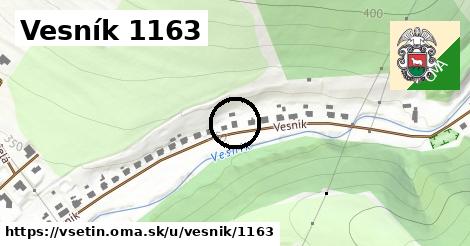 Vesník 1163, Vsetín