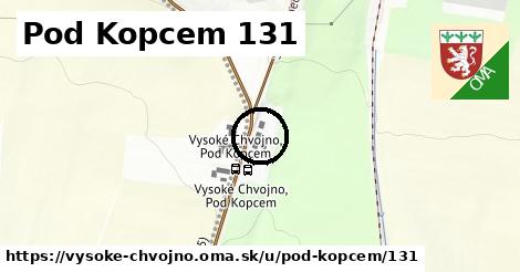 Pod Kopcem 131, Vysoké Chvojno