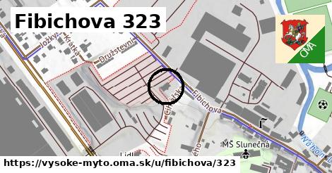 Fibichova 323, Vysoké Mýto