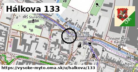 Hálkova 133, Vysoké Mýto