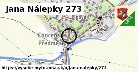 Jana Nálepky 273, Vysoké Mýto