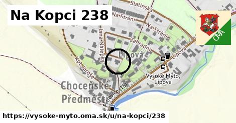 Na Kopci 238, Vysoké Mýto