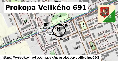 Prokopa Velikého 691, Vysoké Mýto