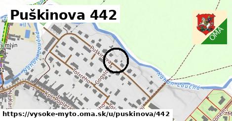Puškinova 442, Vysoké Mýto