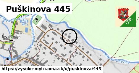 Puškinova 445, Vysoké Mýto