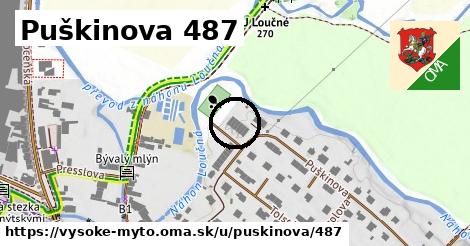 Puškinova 487, Vysoké Mýto