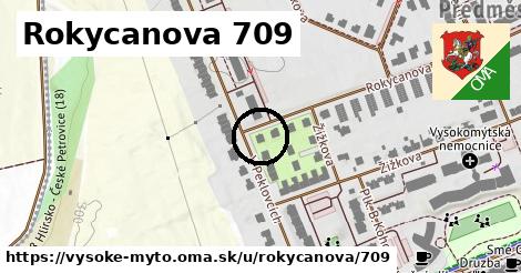 Rokycanova 709, Vysoké Mýto