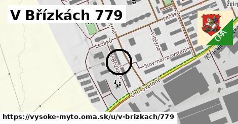 V Břízkách 779, Vysoké Mýto