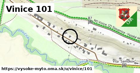 Vinice 101, Vysoké Mýto