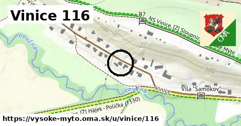 Vinice 116, Vysoké Mýto