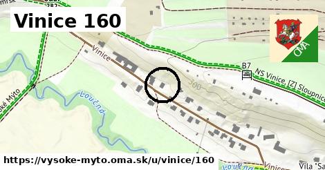 Vinice 160, Vysoké Mýto