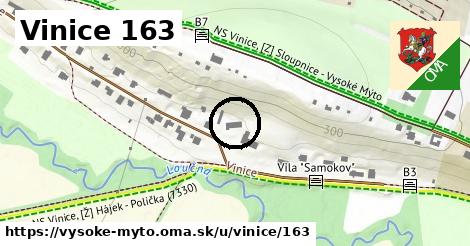 Vinice 163, Vysoké Mýto