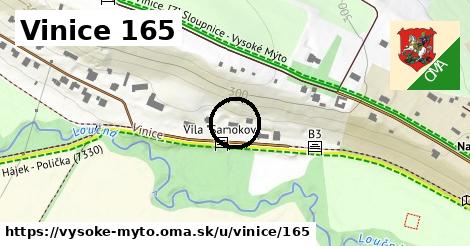 Vinice 165, Vysoké Mýto