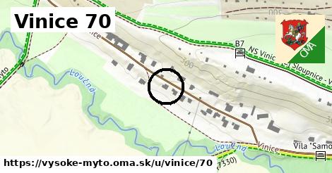 Vinice 70, Vysoké Mýto