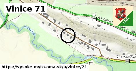 Vinice 71, Vysoké Mýto