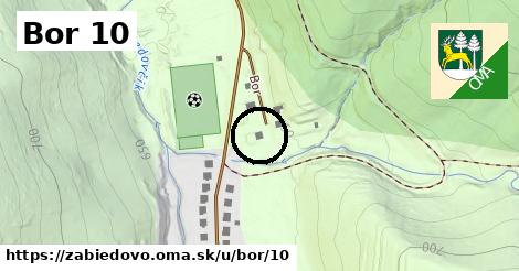 Bor 10, Zábiedovo