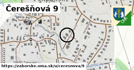 Čerešňová 9, Záborské